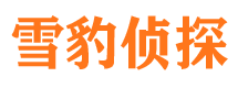 点军外遇调查取证